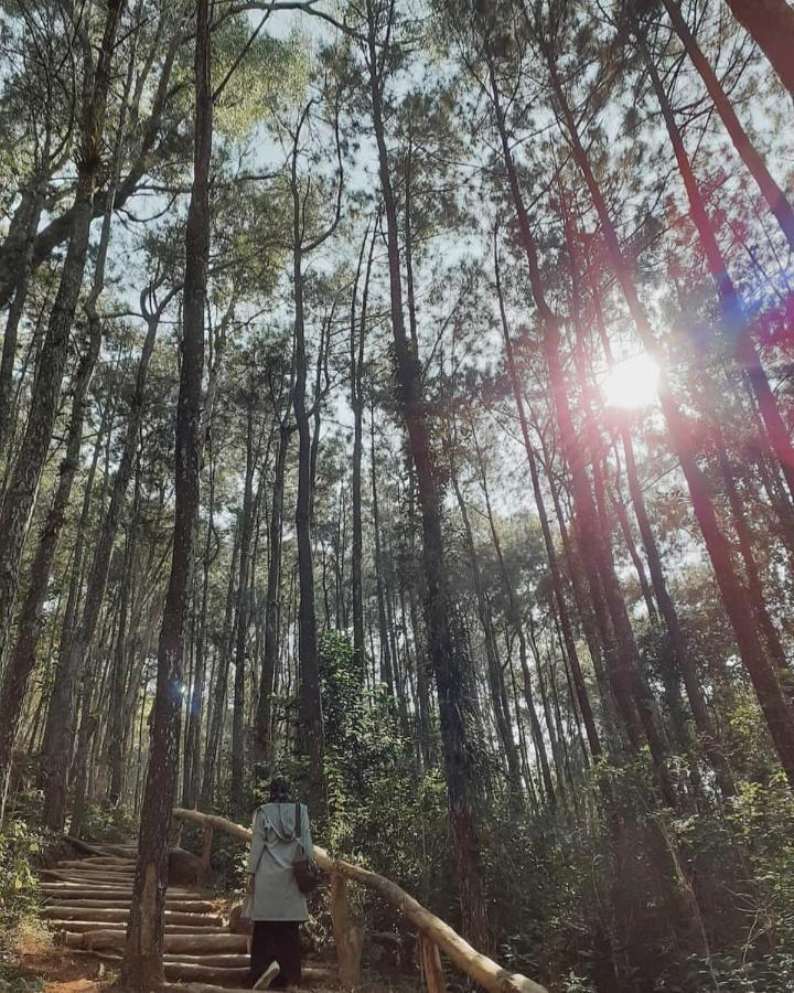 Seribu Batu Songgo Langit Resort & Camp Bantul Eksteriør bilde