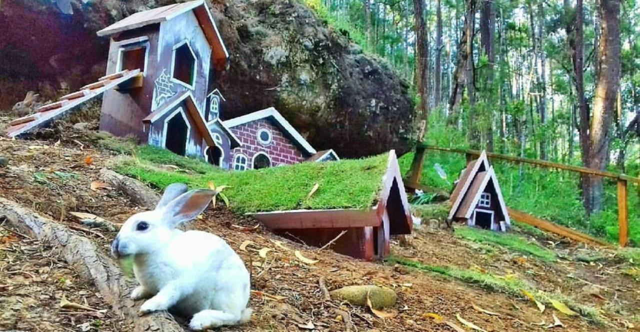 Seribu Batu Songgo Langit Resort & Camp Bantul Eksteriør bilde